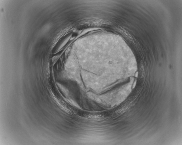 X0000085740638200704131646