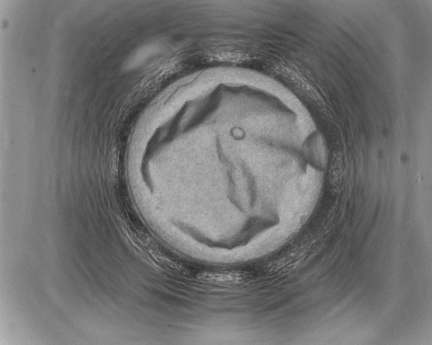 X0000085740639200704131646