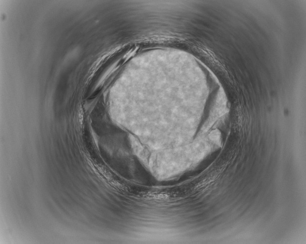 X0000085740640200704131646