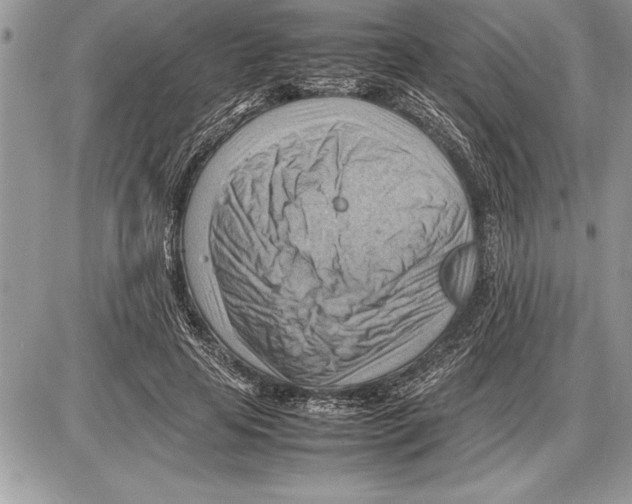 X0000085740641200704131646
