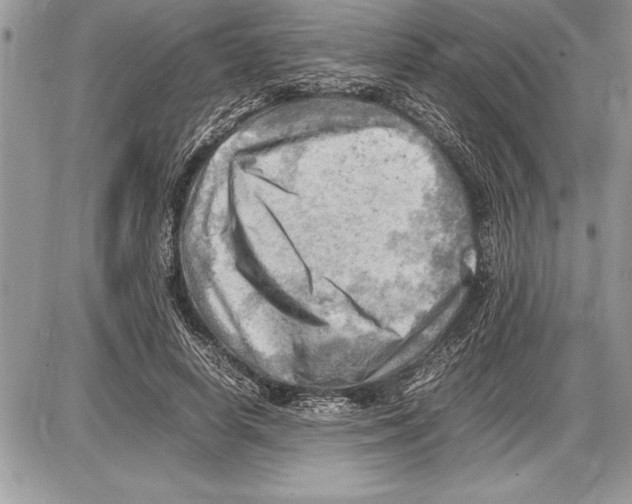 X0000085740642200704131646