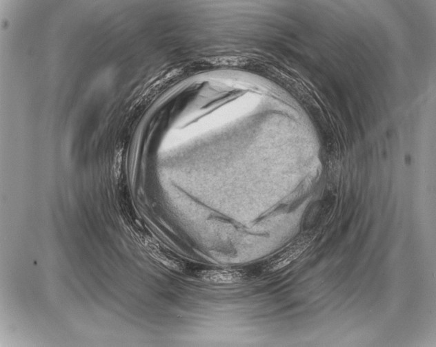 X0000085740652200704131646