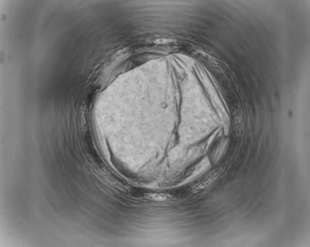 X0000085740654200704131646