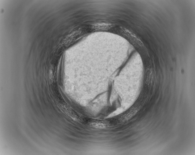 X0000085740655200704131646