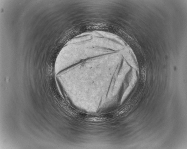 X0000085740657200704131646