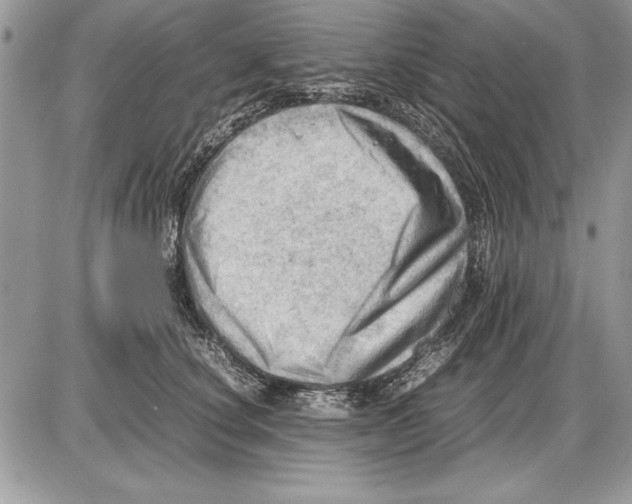 X0000085740660200704131646