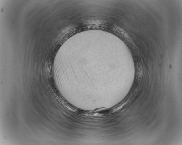X0000085740661200704131646