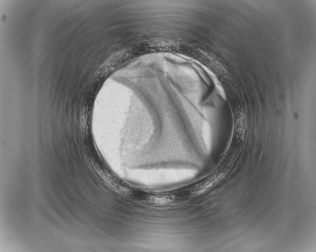 X0000085740662200704131646