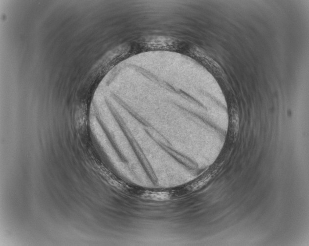 X0000085740665200704131646