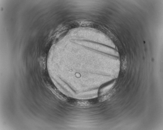 X0000085740666200704131646