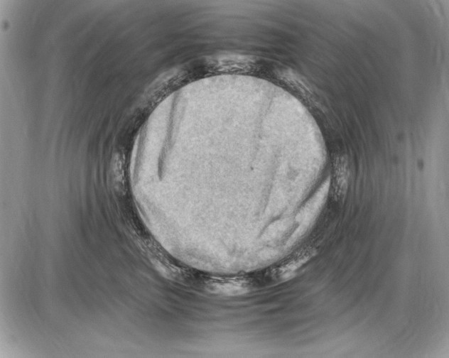 X0000085740667200704131646