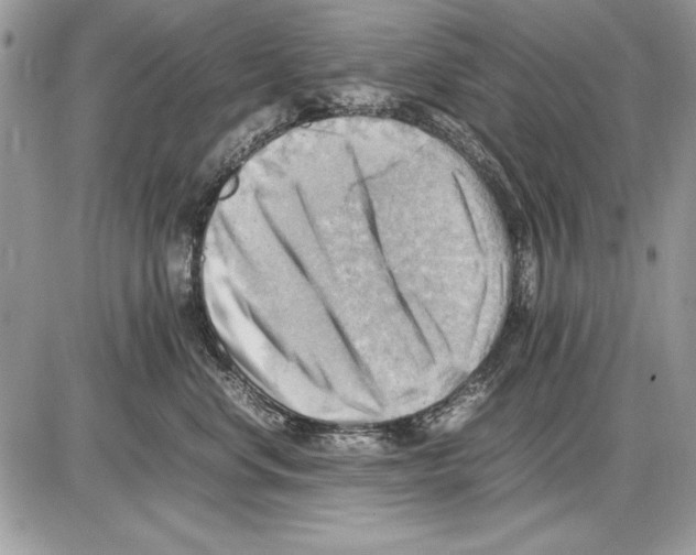 X0000085740668200704131646