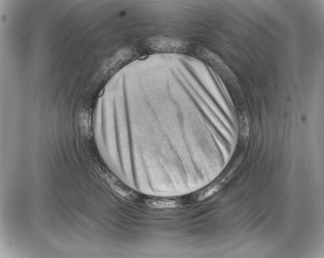 X0000085740669200704131646