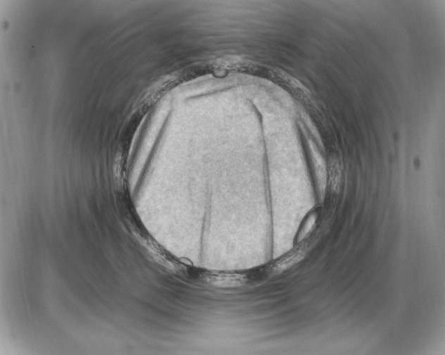 X0000085740670200704131646