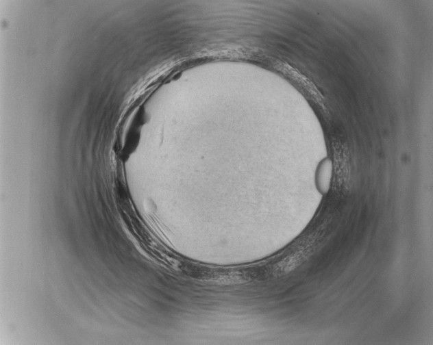 X0000085740674200704131645