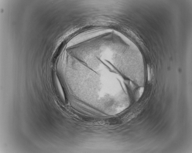 X0000085740675200704131645