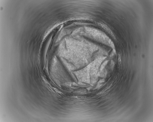 X0000085740676200704131645
