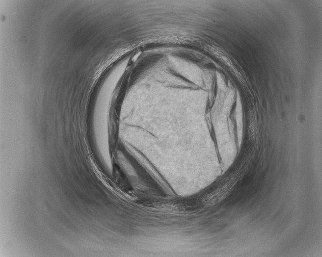 X0000085740677200704131645