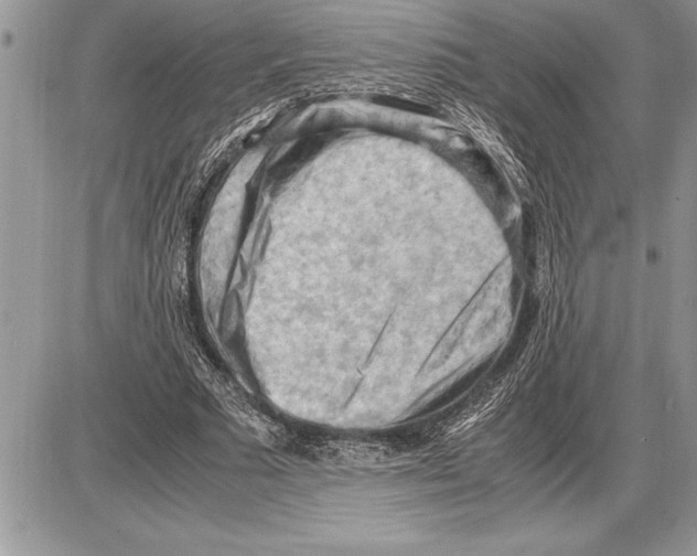 X0000085740681200704131645