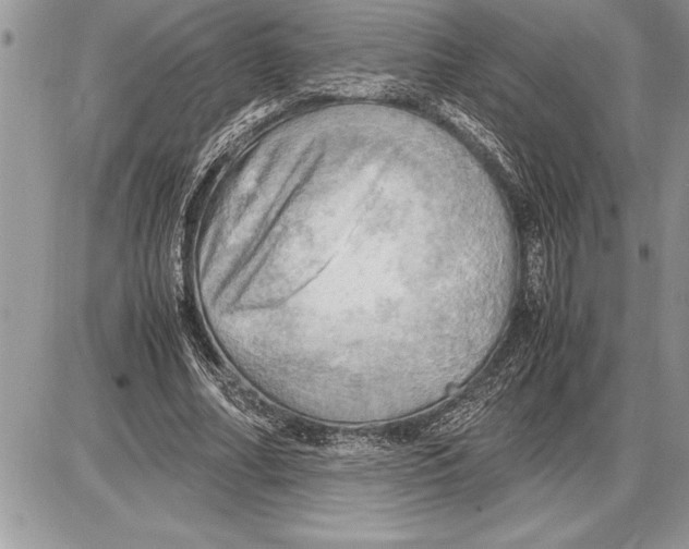 X0000085740682200704131645
