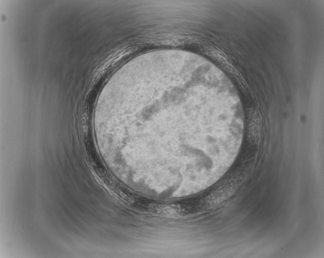 X0000085740683200704131645