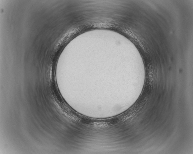 X0000085740686200704131645