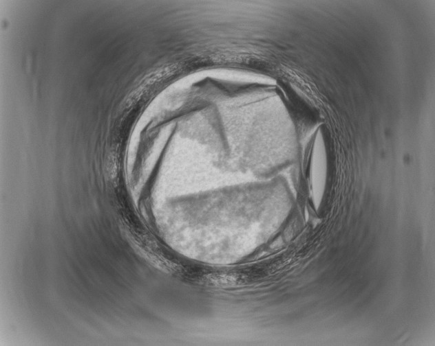 X0000085740687200704131645