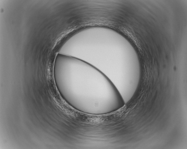 X0000085740688200704131645