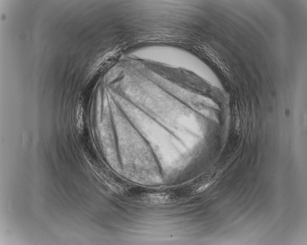 X0000085740692200704131645
