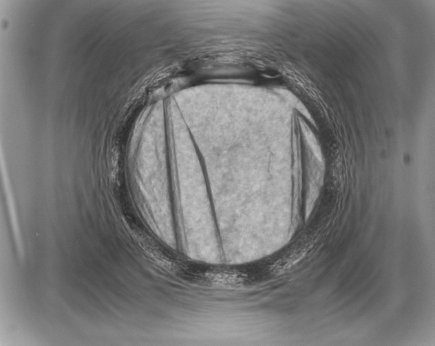 X0000085740693200704131645