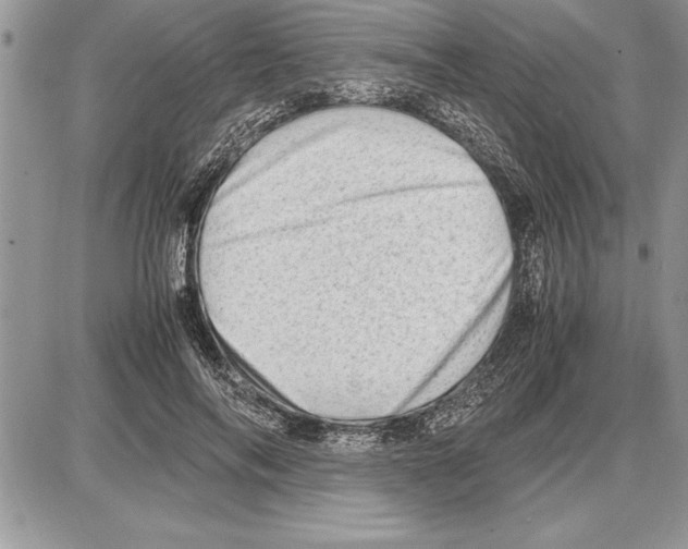 X0000085740694200704131645