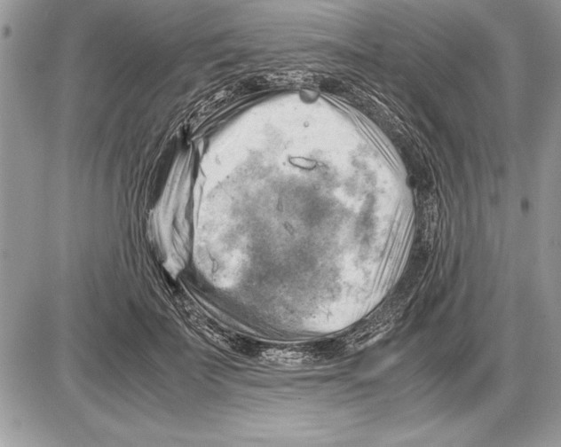 X0000085740699200704131645