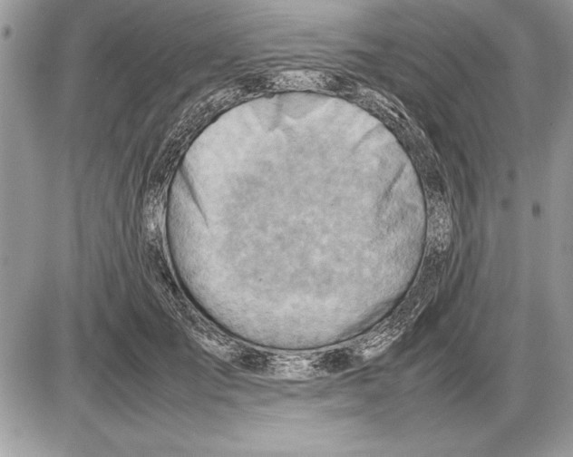 X0000085740701200704131645