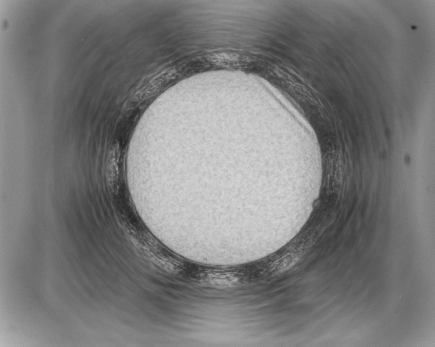 X0000085740702200704131645