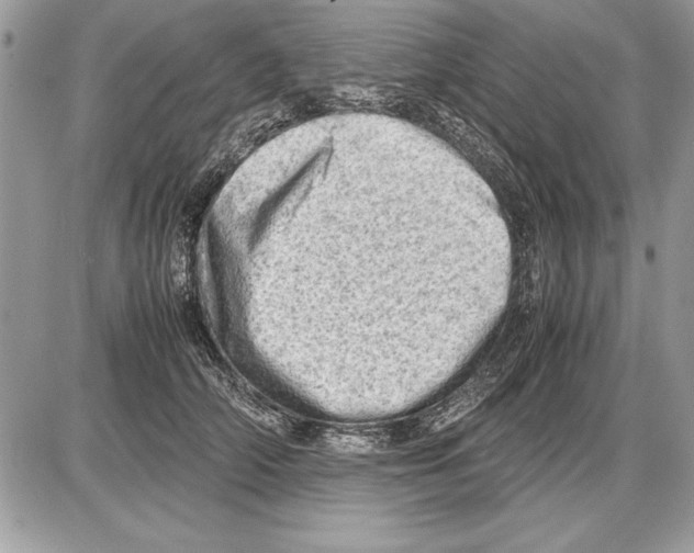 X0000085740706200704131645