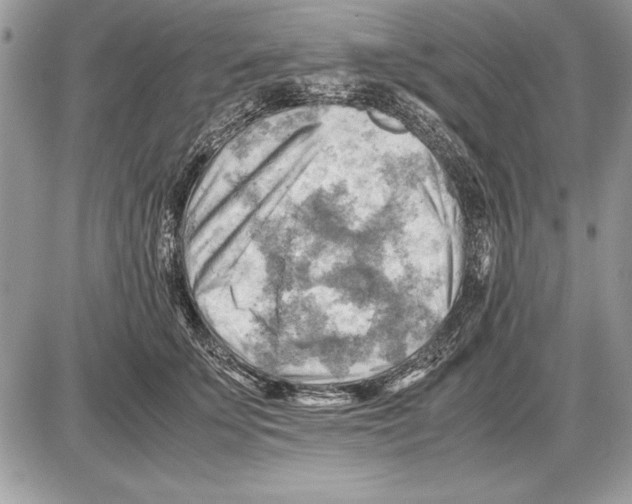 X0000085740707200704131645