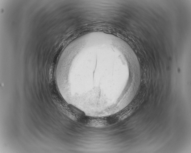 X0000085740708200704131645