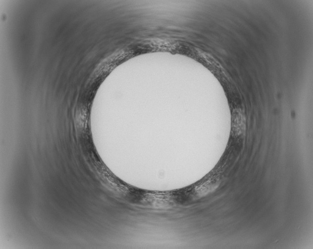 X0000085740713200704131645