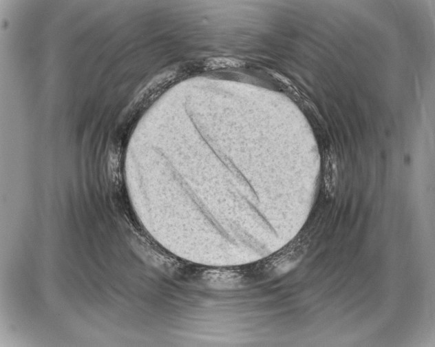 X0000085740714200704131645