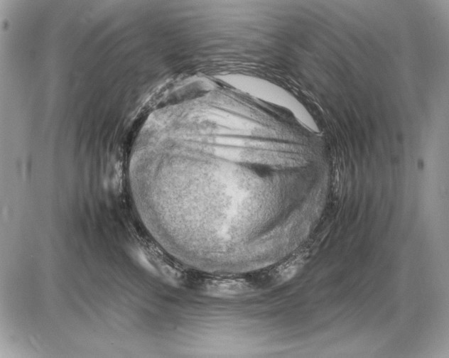 X0000085740716200704131645