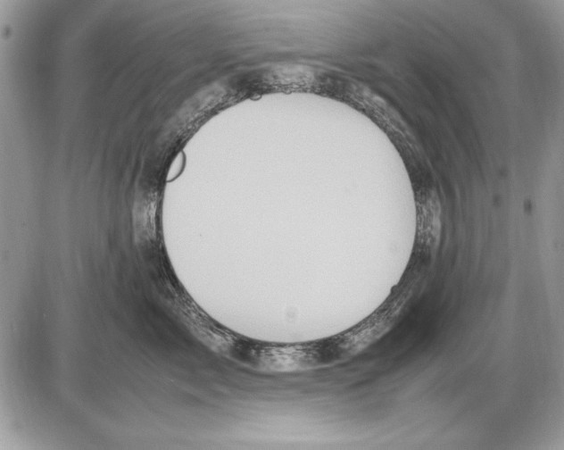 X0000085740717200704131645