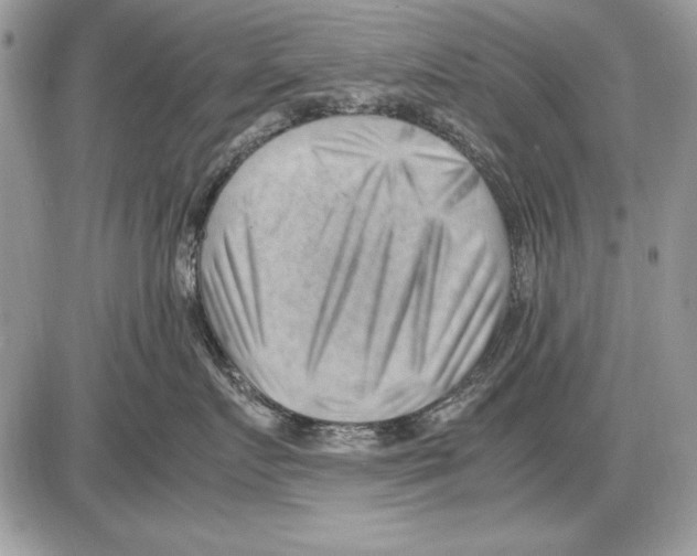 X0000085740719200704131645