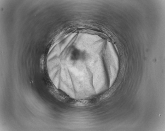 X0000085740720200704131645