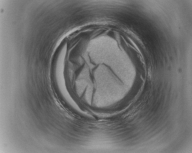X0000085740724200704131644