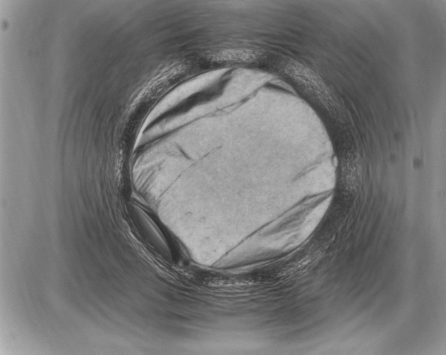 X0000085740735200704131644