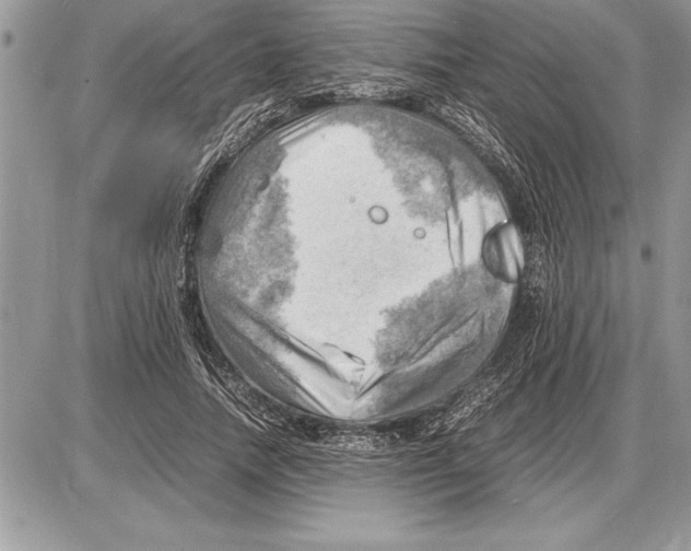 X0000085740738200704131644