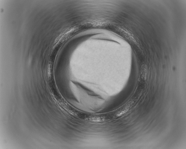 X0000085740740200704131644