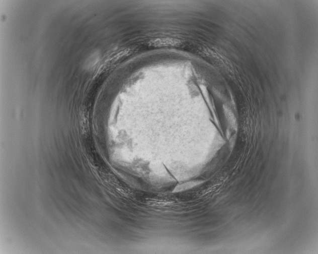 X0000085740743200704131644