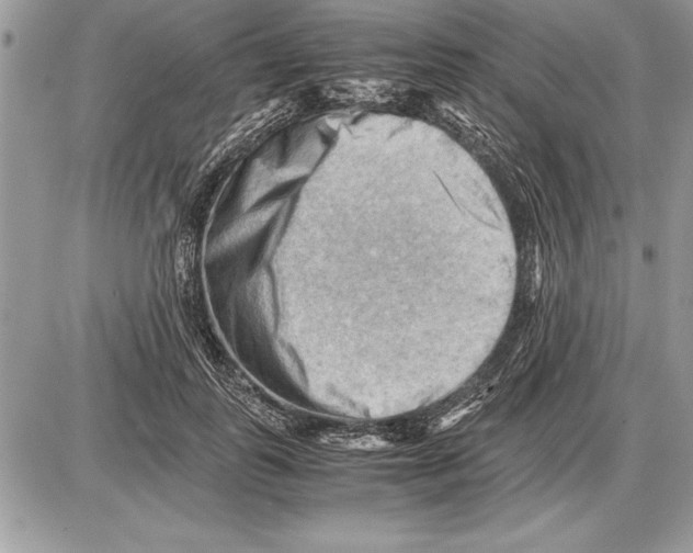 X0000085740747200704131644