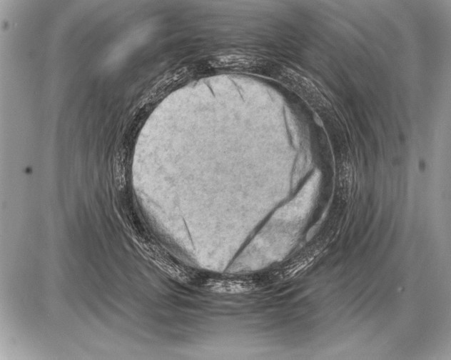 X0000085740751200704131644